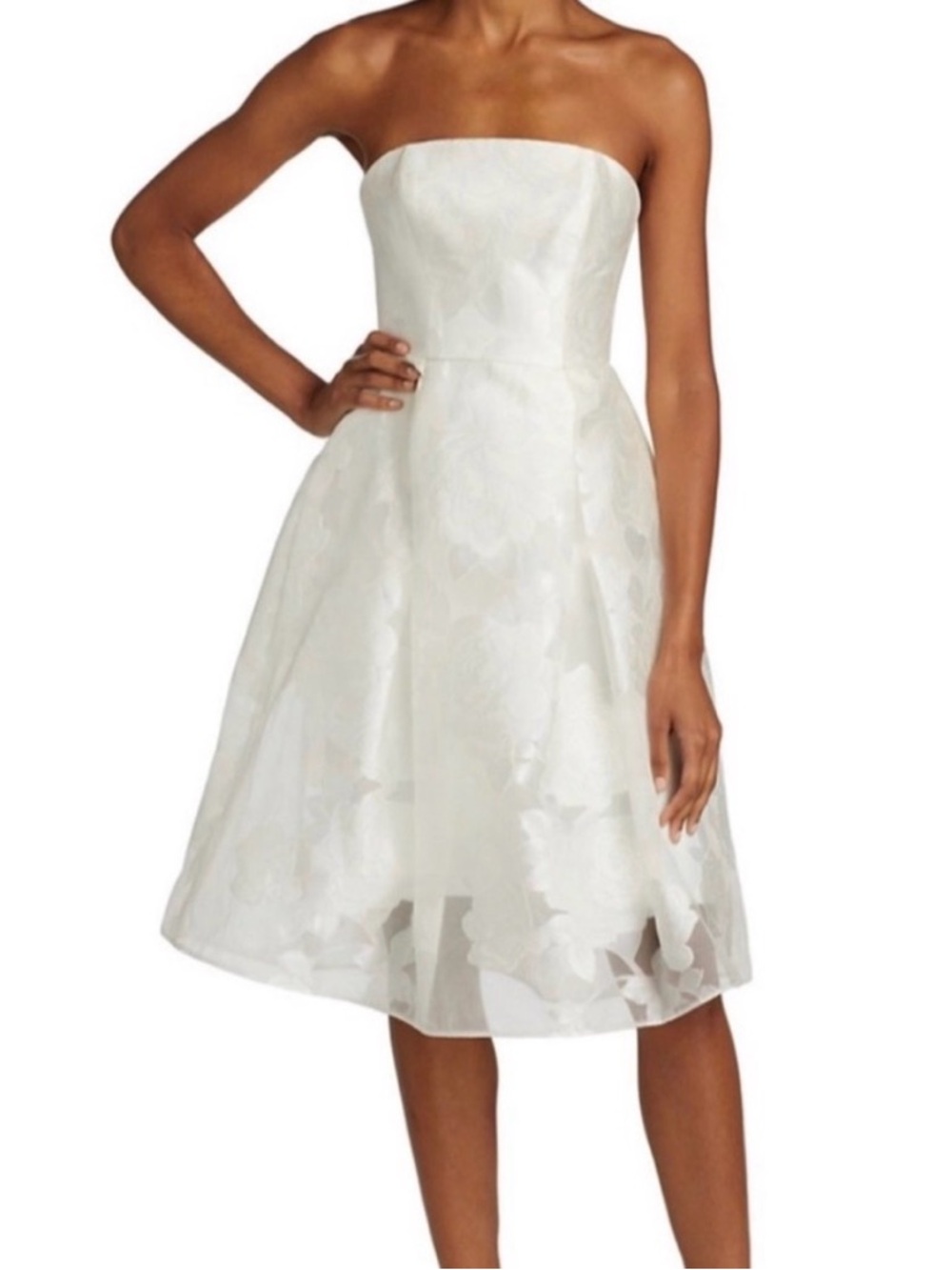 Amsale Rose Fil Coupe Fit-&-Flare Dress